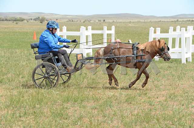 K210_1030.JPG - Photo by KANGRA