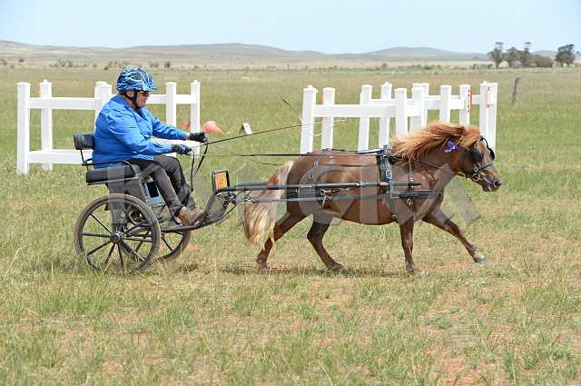 K210_1032.JPG - Photo by KANGRA