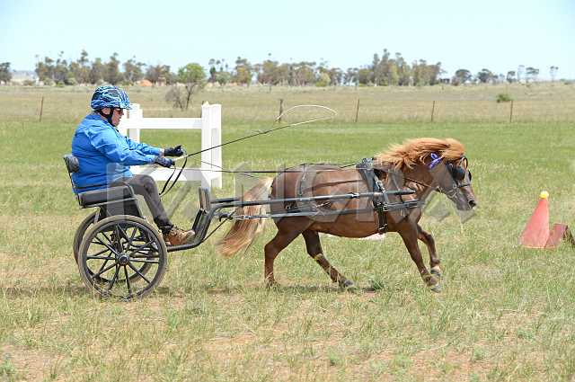 K210_1040.JPG - Photo by KANGRA