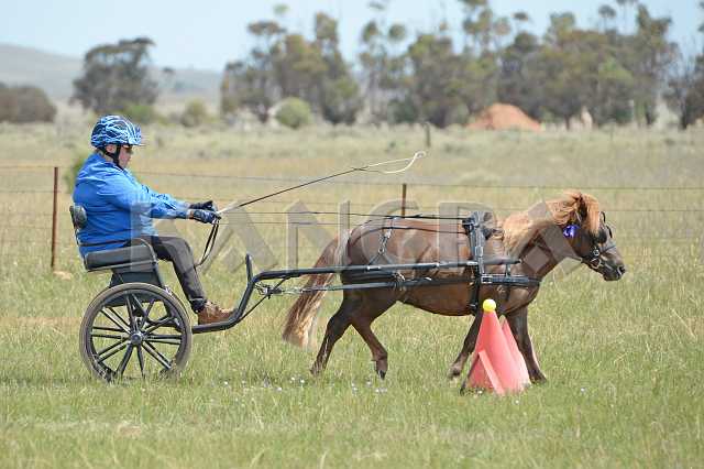 K210_1473.JPG - Photo by KANGRA