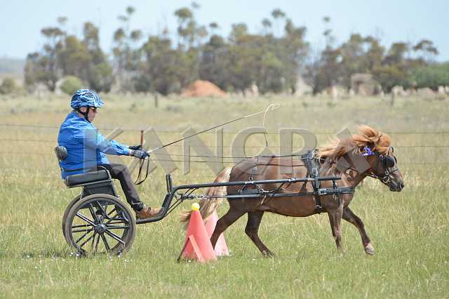 K210_1476.JPG - Photo by KANGRA