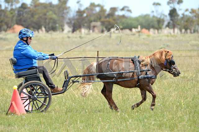 K210_1479.JPG - Photo by KANGRA