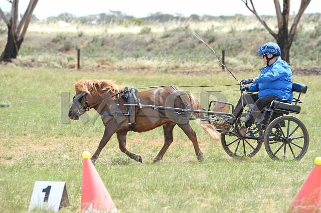 K210_1481.JPG - Photo by KANGRA