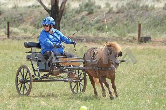 K210_1487.JPG - Photo by KANGRA