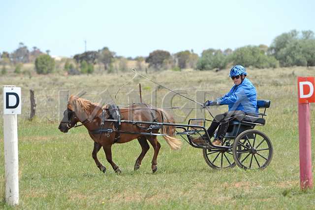 K210_1493.JPG - Photo by KANGRA