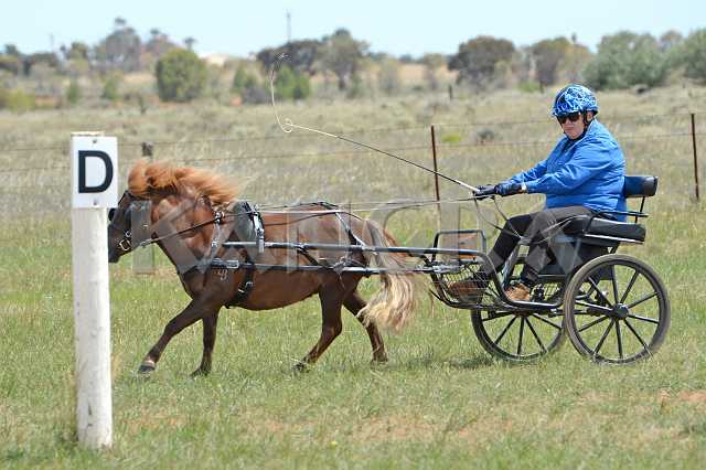 K210_1495.JPG - Photo by KANGRA