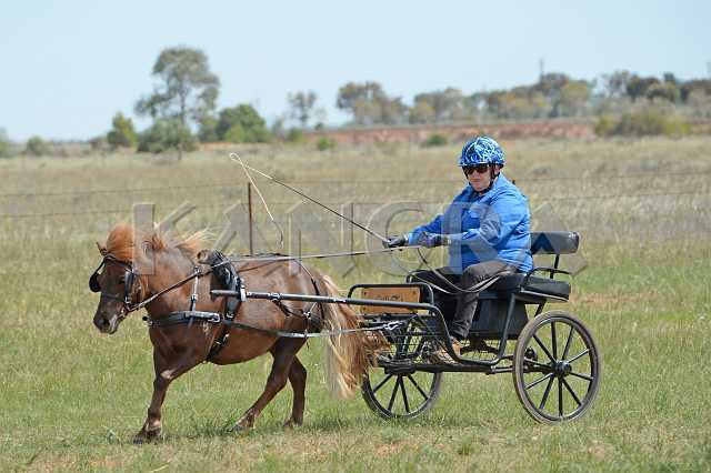 K210_1501.JPG - Photo by KANGRA