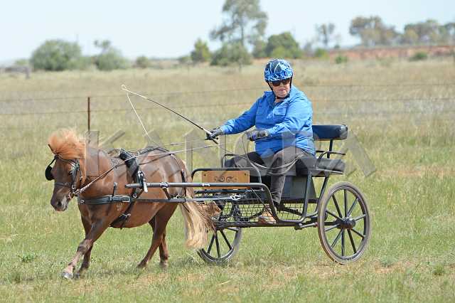 K210_1506.JPG - Photo by KANGRA