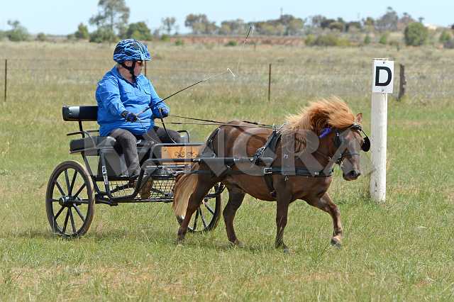 K210_1509.JPG - Photo by KANGRA