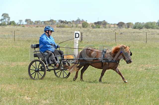 K210_1514.JPG - Photo by KANGRA