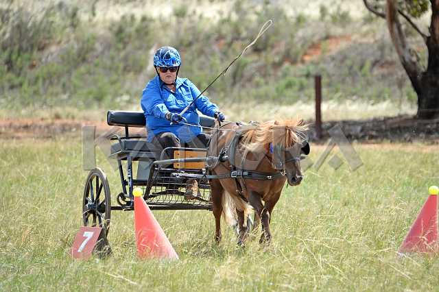 K210_1515.JPG - Photo by KANGRA