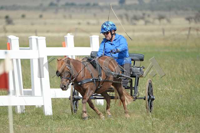 K210_1522.JPG - Photo by KANGRA