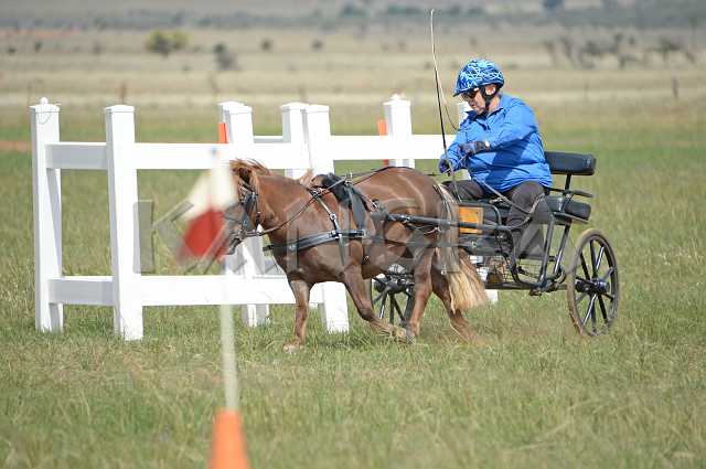 K210_1525.JPG - Photo by KANGRA