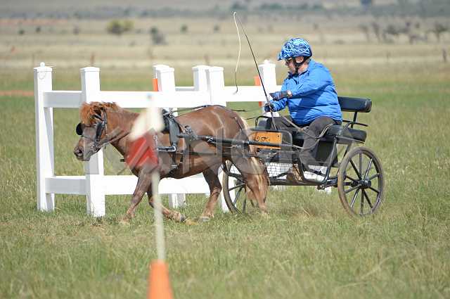 K210_1527.JPG - Photo by KANGRA