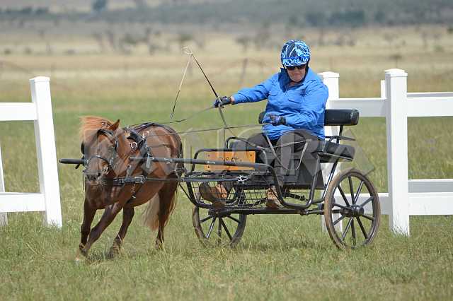 K210_1530.JPG - Photo by KANGRA