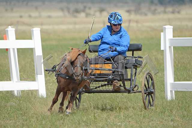 K210_1534.JPG - Photo by KANGRA