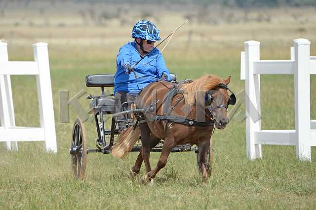 K210_1535.JPG - Photo by KANGRA