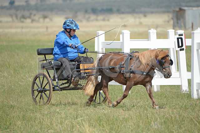 K210_1540.JPG - Photo by KANGRA