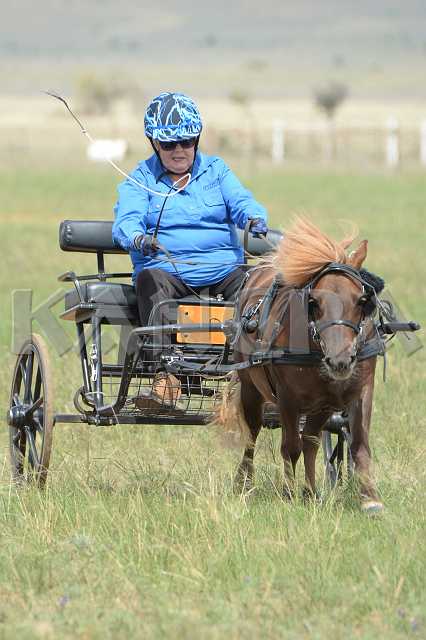 K210_1544.JPG - Photo by KANGRA