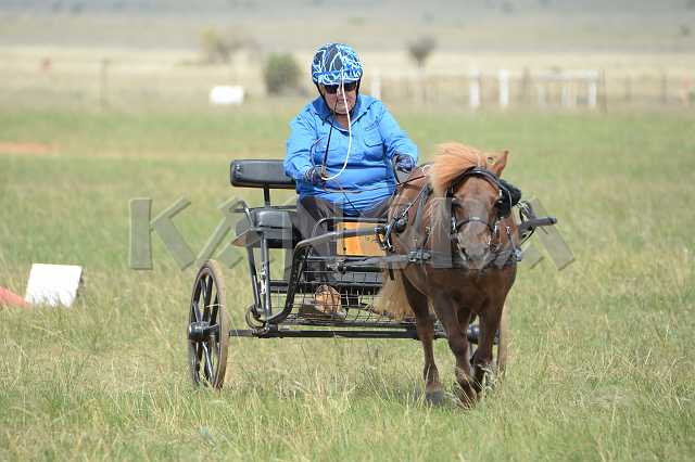 K210_1546.JPG - Photo by KANGRA