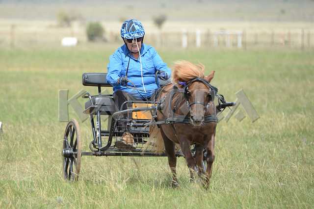 K210_1547.JPG - Photo by KANGRA