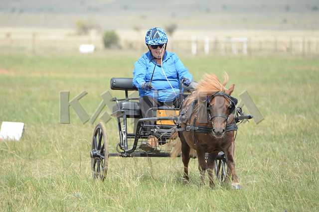 K210_1548.JPG - Photo by KANGRA