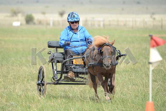 K210_1551.JPG - Photo by KANGRA