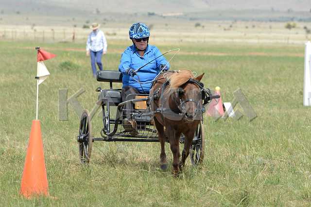 K210_1554.JPG - Photo by KANGRA