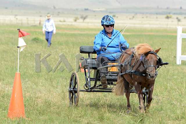 K210_1559.JPG - Photo by KANGRA