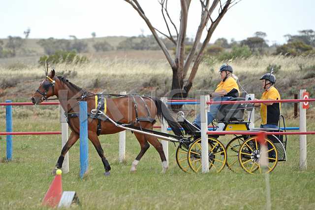 K210_1051.JPG - Photo by KANGRA