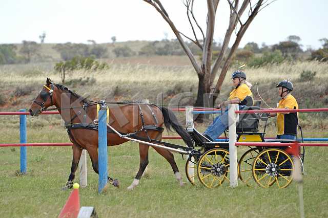 K210_1052.JPG - Photo by KANGRA