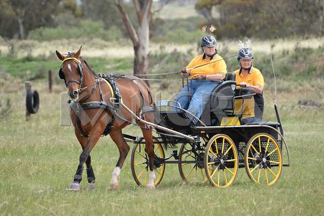 K210_1063.JPG - Photo by KANGRA