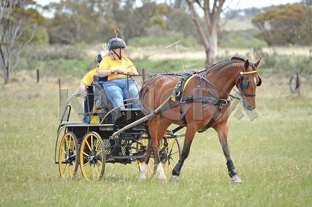 K210_1073.JPG - Photo by KANGRA