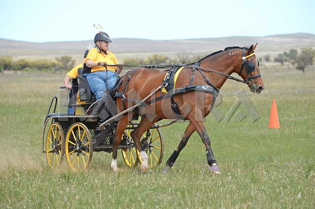 K210_1078.JPG - Photo by KANGRA