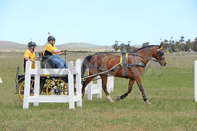 K210_1083.JPG - Photo by KANGRA