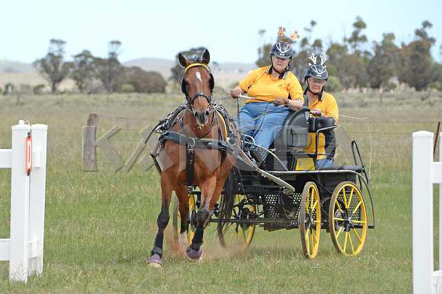 K210_1087.JPG - Photo by KANGRA