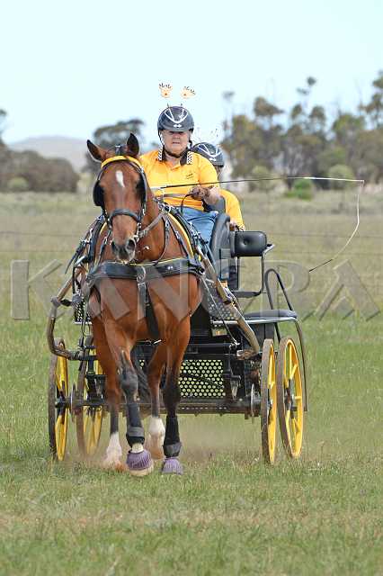 K210_1091.JPG - Photo by KANGRA