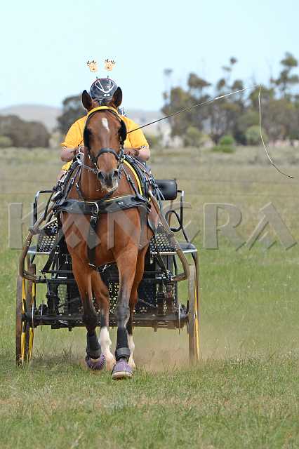 K210_1095.JPG - Photo by KANGRA