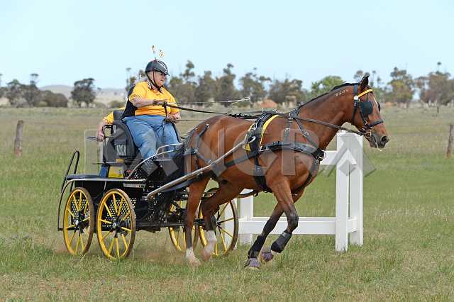 K210_1104.JPG - Photo by KANGRA