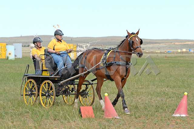 K210_1116.JPG - Photo by KANGRA