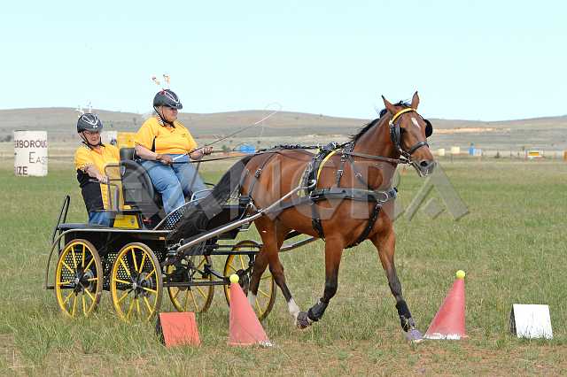 K210_1119.JPG - Photo by KANGRA