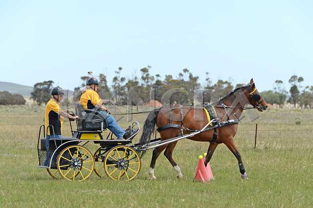 K210_1655.JPG - Photo by KANGRA