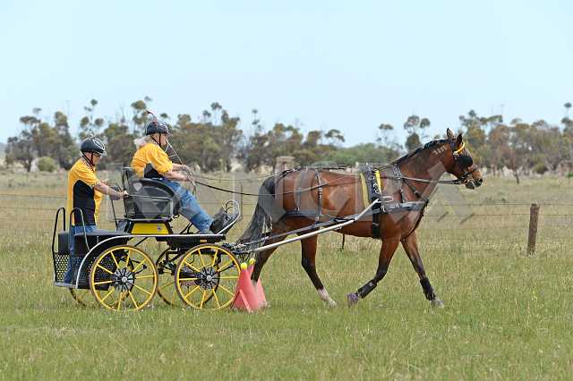 K210_1659.JPG - Photo by KANGRA