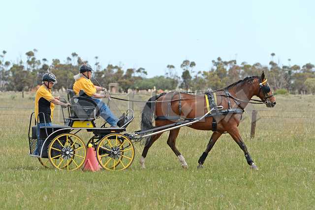 K210_1662.JPG - Photo by KANGRA