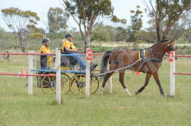 K210_1664.JPG - Photo by KANGRA