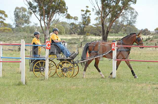 K210_1667.JPG - Photo by KANGRA