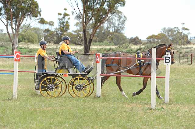 K210_1671.JPG - Photo by KANGRA