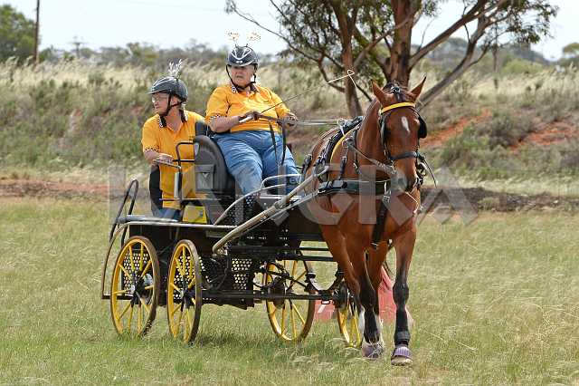 K210_1675.JPG - Photo by KANGRA