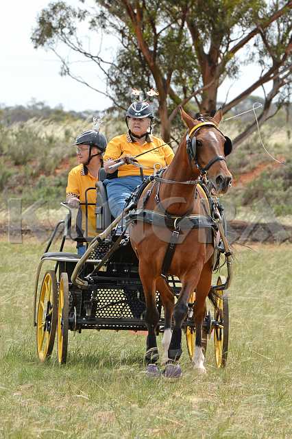 K210_1681.JPG - Photo by KANGRA