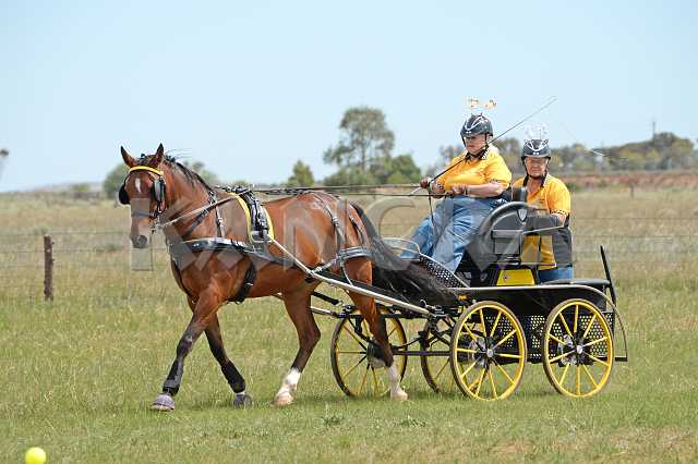 K210_1684.JPG - Photo by KANGRA